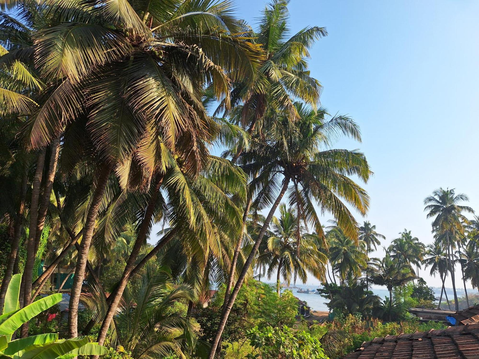 Anand Nivas Homestay Malvan Bagian luar foto